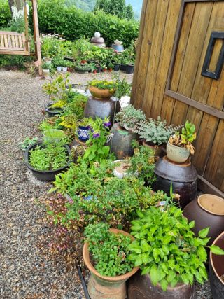 이남신님의 자유주제 · 자유게시판 작성글 사진