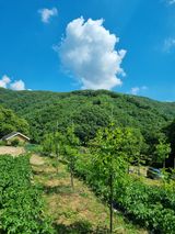 팜모닝 자유주제·사진전 게시글 이미지