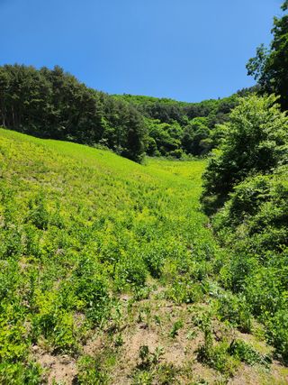 윤미선(농경채인증님의 6월 내 작물 자랑하기🌱 · 참여글 작성글 사진