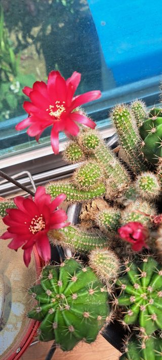 콩18930님의 자유주제 · 자유게시판 작성글 사진