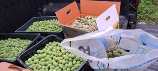 콩18930님의 자유주제 · 자유게시판 작성글 사진