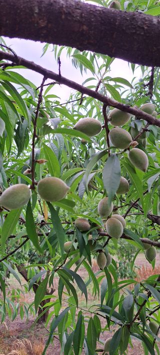 콩18930님의 자유주제 · 자유게시판 작성글 사진