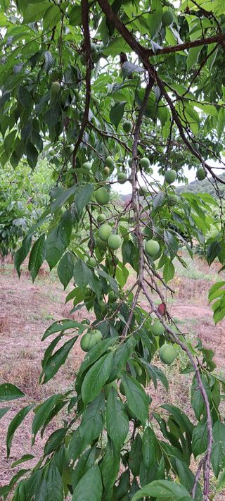콩18930님의 자유주제 · 자유게시판 작성글 사진