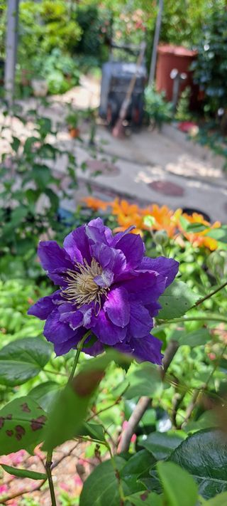 콩18930님의 자유주제 · 자유게시판 작성글 사진