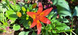 콩18930님의 자유주제 · 자유게시판 작성글 사진