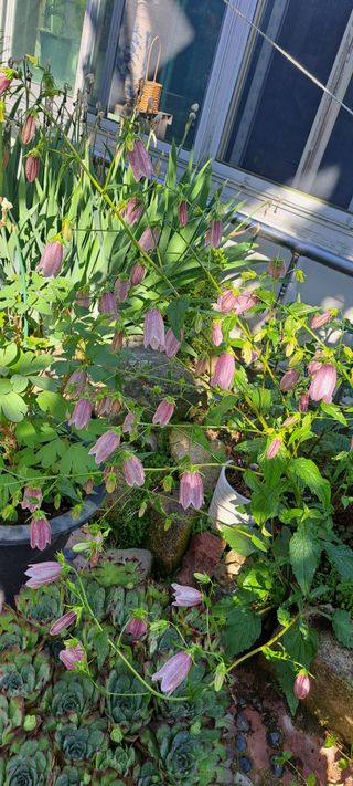 콩18930님의 자유주제 · 자유게시판 작성글 사진