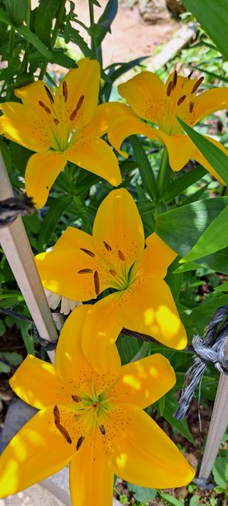 콩18930님의 자유주제 · 자유게시판 작성글 사진