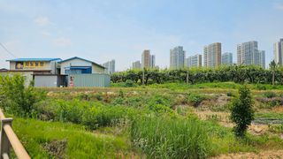 박진오님의 배 · 영농일지 작성글 사진