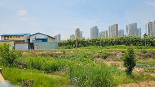 박진오님의 배 · 영농일지 작성글 사진