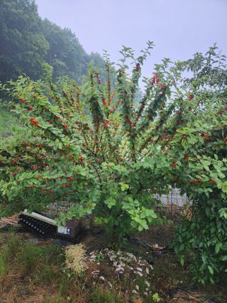재갈공명a님의 자유주제 · 자유게시판 작성글 사진