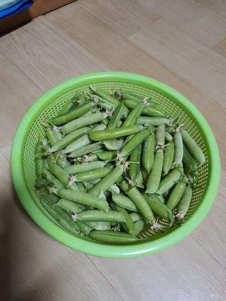 소금님의 콩 · 영농일지 작성글 사진