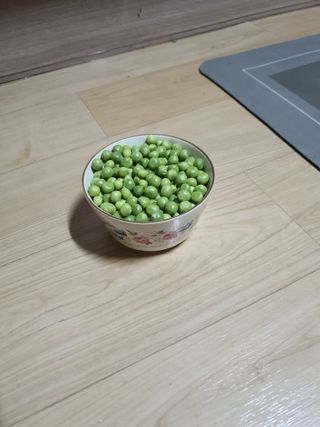 소금님의 콩 · 영농일지 작성글 사진