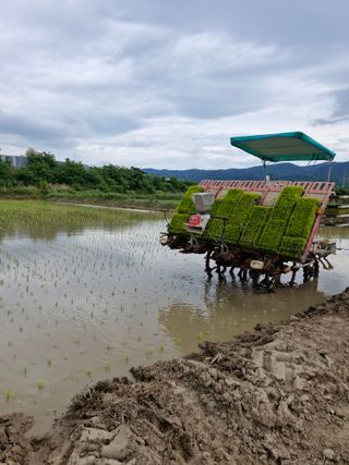 행복한 농사꾼73님의 벼 · 영농일지 작성글 사진