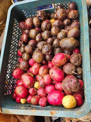 임은주님의 자유주제 · 사진전 작성글 사진