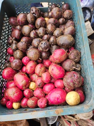 임은주님의 자유주제 · 사진전 작성글 사진