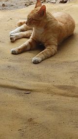 팜모닝 자유주제·자유게시판 게시글 이미지