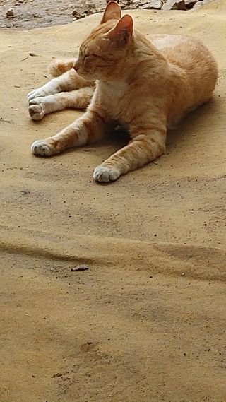 엉뚱한농사꾼임경섭님의 자유주제 · 자유게시판 작성글 사진