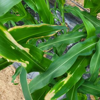 이창화님의 자유주제 · 자유게시판 작성글 사진