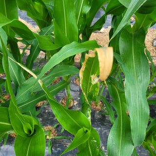 이창화님의 자유주제 · 자유게시판 작성글 사진