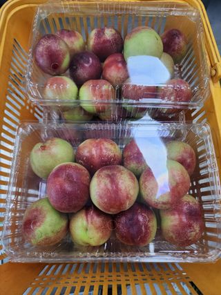 김영준님의 복숭아 · 영농일지 작성글 사진