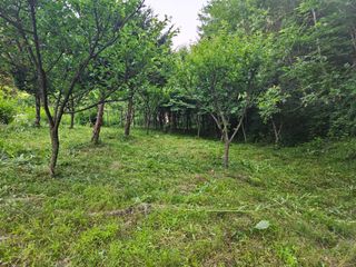 다범님의 기타작물 · 영농일지 작성글 사진