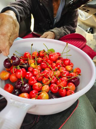 임은주님의 6월 내 작물 자랑하기🌱 · 참여글 작성글 사진
