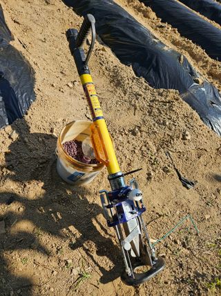 서상진님의 자유주제 · 자유게시판 작성글 사진