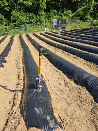 서상진님의 자유주제 · 자유게시판 작성글 사진