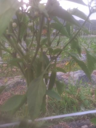 알 수 없음님의 자유주제 · 자유게시판 작성글 사진