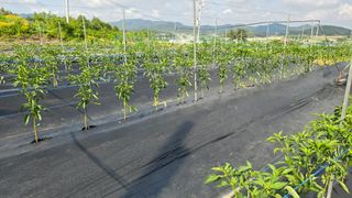 김두영(할리족구)님의 자유주제 · 자유게시판 작성글 사진