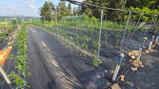 김두영(할리족구)님의 자유주제 · 자유게시판 작성글 사진