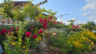 김두영(할리족구)님의 자유주제 · 자유게시판 작성글 사진