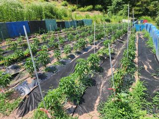 강철님의 자유주제 · 사진전 작성글 사진