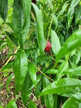 팜모닝 자유주제·자유게시판 게시글 이미지