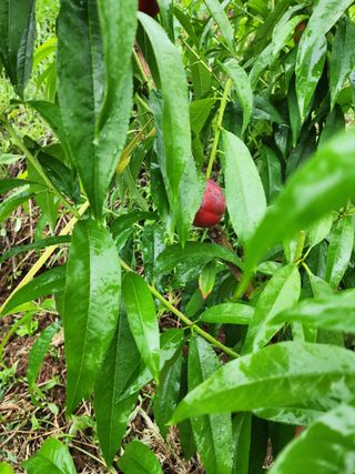 장영환 님의 자유주제 · 자유게시판 작성글 사진