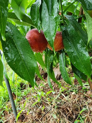 장영환 님의 자유주제 · 자유게시판 작성글 사진