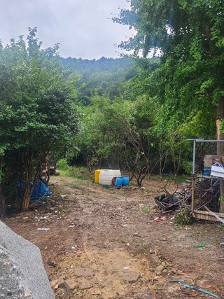 난타자이언트님의 팜모닝 · 출석 작성글 사진