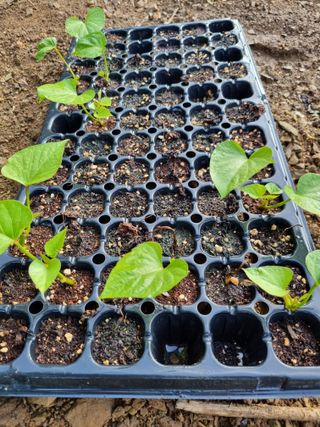 풍요님의 자유주제 · 자유게시판 작성글 사진