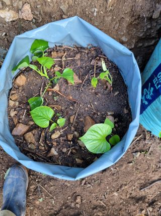 풍요님의 자유주제 · 자유게시판 작성글 사진