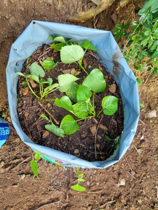 풍요님의 자유주제 · 자유게시판 작성글 사진