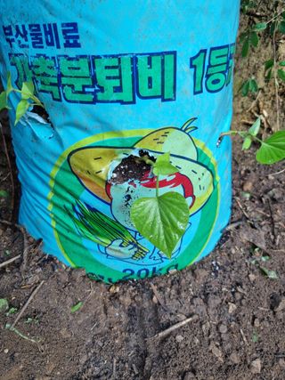 풍요님의 자유주제 · 자유게시판 작성글 사진