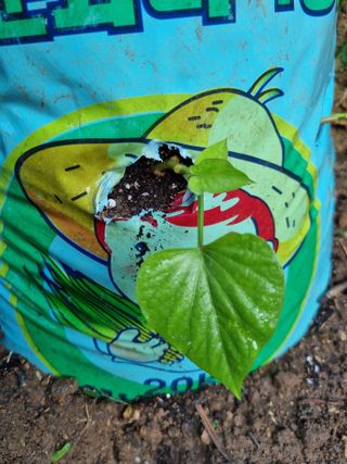 풍요님의 자유주제 · 자유게시판 작성글 사진