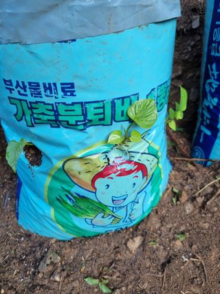 풍요님의 자유주제 · 자유게시판 작성글 사진