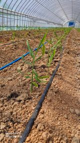 팜모닝 자유주제·자유게시판 게시글 이미지