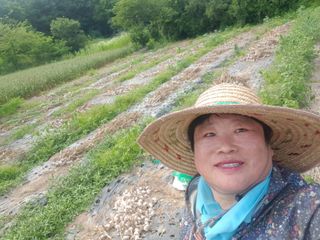 박귀님의 자유주제 · 자유게시판 작성글 사진