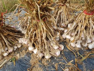 박귀님의 자유주제 · 자유게시판 작성글 사진