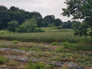 박귀님의 자유주제 · 자유게시판 작성글 사진