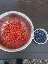 팜모닝 6월 내 작물 자랑하기🌱·참여글 게시글 이미지