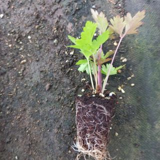 김상선님의 자유주제 · 자유게시판 작성글 사진