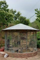 팜모닝 6월 내 작물 자랑하기🌱·참여글 게시글 이미지